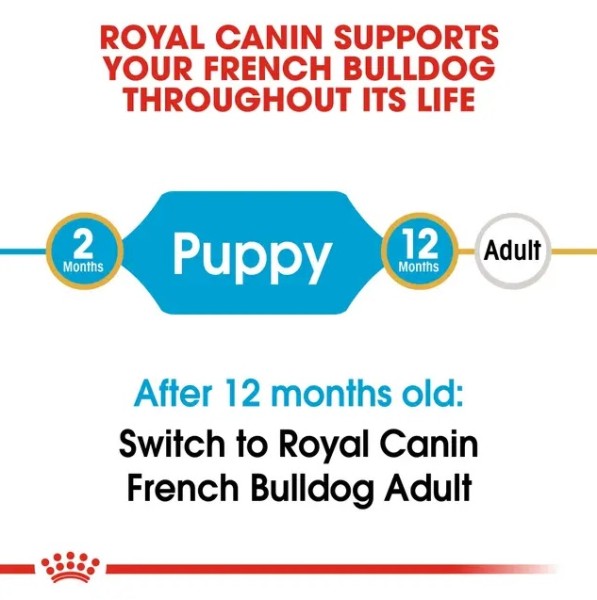 Royal Canin French Bulldog Puppy - Суха храна за подрастващи кучета от порода френски булдог от 2- до 12-месечна възраст